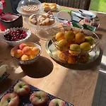 Bed & Breakfast Cocciu D'amuri