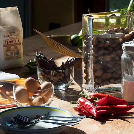 Cocciu D'amuri Mongiove