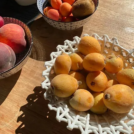 Cocciu D'amuri Mongiove